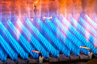 Pharis gas fired boilers